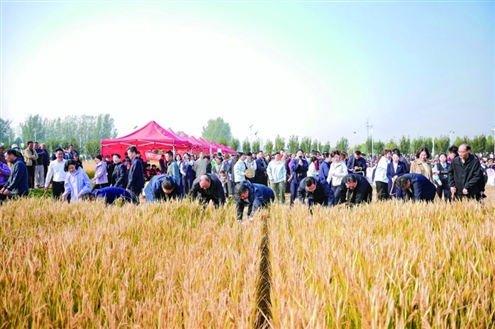 10月25日,历城区荷花路街道第五届“水美乡村”庆丰收活动启幕